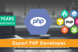 write, debug, fix PHP scripts for you