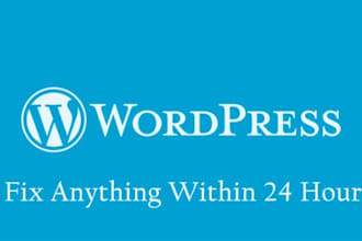 install wordpress and customize wp plugins and themes