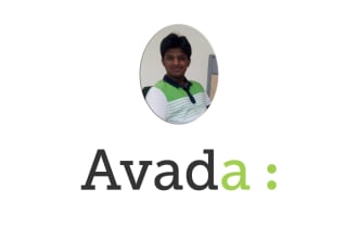 build a lucrative avada website for you
