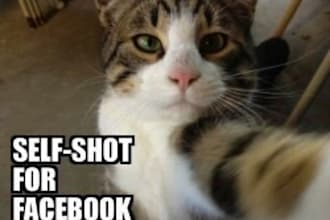 create 20 positive comments on your Facebook wall