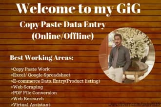 do excel data entry, web scrapping and find email