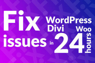 fix divi issues in 24 hrs