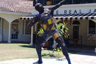 do services for you from jamaica