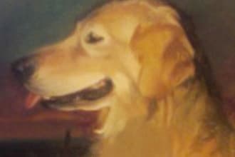 handpaint a 5 x 5 ORIGINAL oil painting of your pet