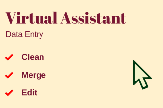 do super fast data entry or mining work within 4 hours