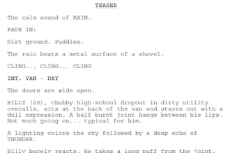 write a screenplay or adapt your novel into a screenplay