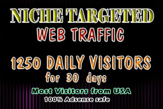drive niche targeted website traffic 1250 daily for 30 days
