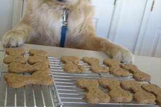 make a batch pet treats for your favorite animal