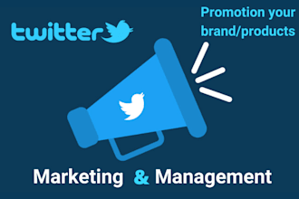 do twitter marketing and promotion with organic growth