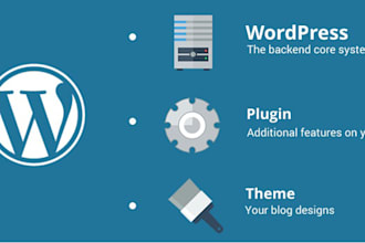 do work in wordpess website