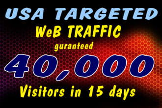 drive USA targeted real web traffic, visitors