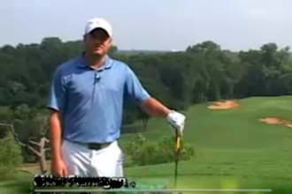 give you a professional golf lesson