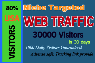 provide USA targeted real  web traffic visitors for 30 days