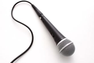 do a professional voice over