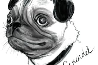 draw a portrait of your pet
