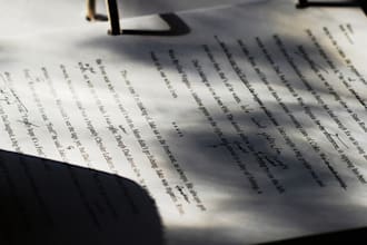 professionally proofread, spell check, or edit your article, essay, or writing