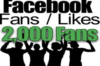 give 1000+ real facebook likes for any facebooks like page, under 16 hours and without admin access