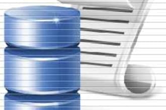 develop MS Access database Solution for your Business