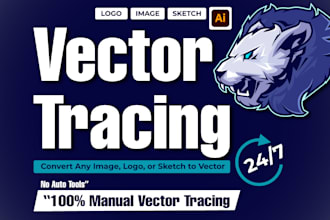 do professional vector tracing, logo recreation, or image to vector conversion