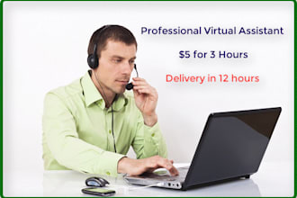 do data data entry in 12 hours