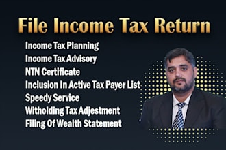 provide tax return filing for you