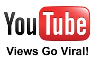 deliver 1000 Real YouTube Views within 2 days to help you go viral