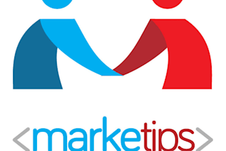 give you professional usability advice on how to improve your website