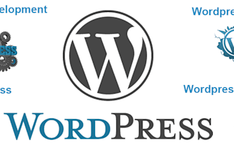 help you with any wordpress jobs