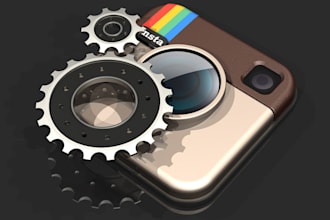 manage your Instgram for a week and get you followers