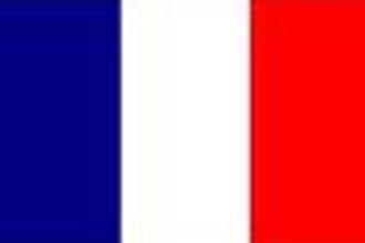 translate any french 500 or less paper