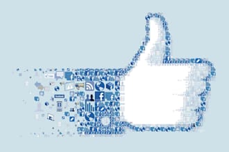 give you 1000 Plus Facebook Likes