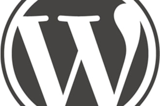 solve any WordPress related problems