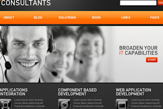 make you a complete professional WORDPRESS website