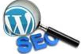 anything Wordpress