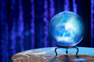 make a prediction about the following