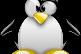 help you install programs in Linux