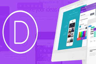 install, customize divi wordpress theme