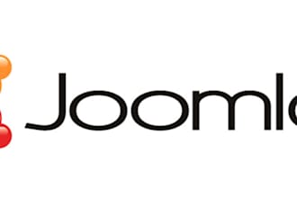 solve any issues in your joomla website