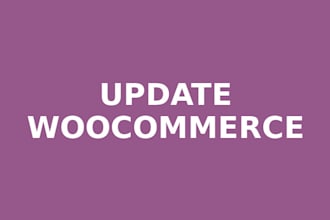 update woocommerce to latest version without site damage