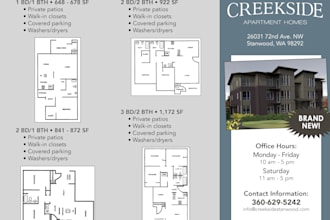 create an awesome newsletter, flyer or poster