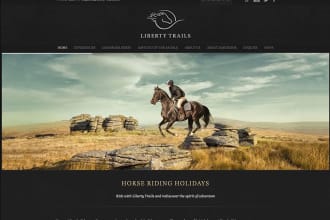 do professional wix website design