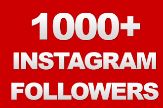 give You 1000 Instagram Followers To Your Account, Fast Instagram Followers