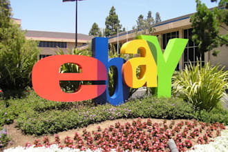look at your ebay auctions and suggest ways of improvement