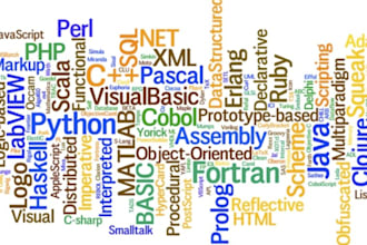 complete your programming assignment or project