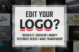 edit logo, recolor, recreate, vectorize or make transparent