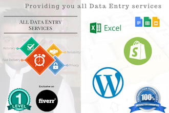 provide all data entry services