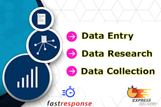 do perfect data entry and web research