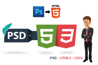 convert sketch, xd, PSD to html, wordpress with responsive