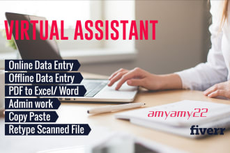 do data entry virtual assistant work