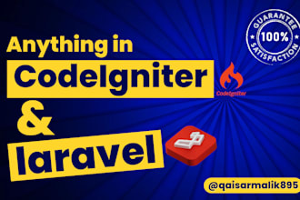 fix, build, or customize in laravel and codeigniter